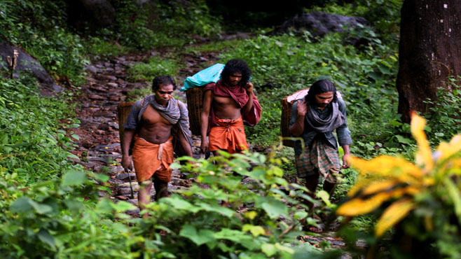 പറന്നുപറന്നു പറന്നുചെല്ലാന്‍ പറ്റാത്ത കാടുകളില്‍